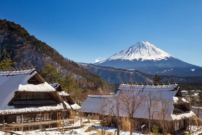 From Tokyo Mt.Fuji, Lake Kawaguchi, Makaino Farm day tour - Final Thoughts