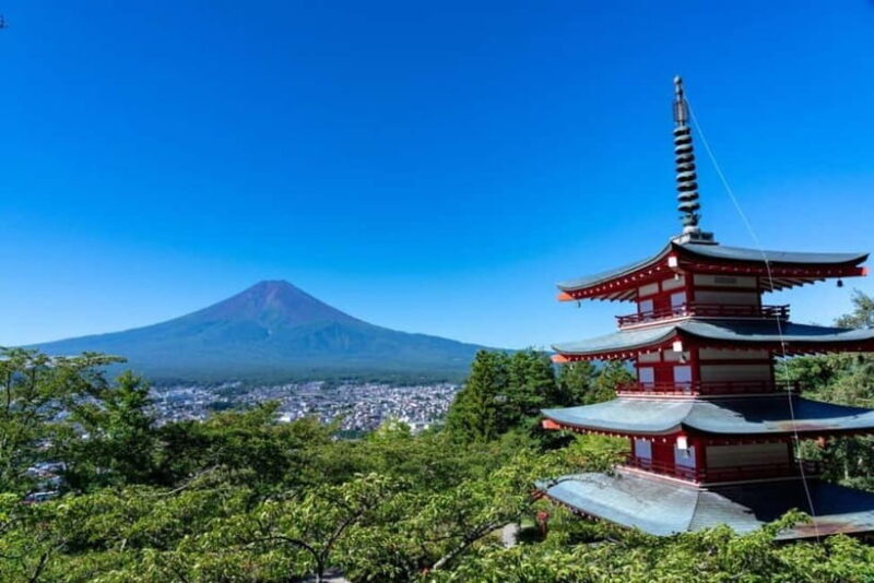From Tokyo: Mt.Fuji, Lake Kawaguchi, Oshino Hakkai Day Tour - Key Points
