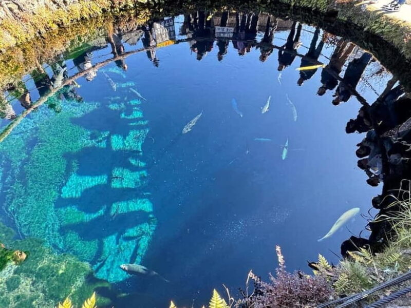 From Tokyo: Mt.Fuji, Lake Kawaguchi, Oshino Hakkai Day Tour - Final Thoughts