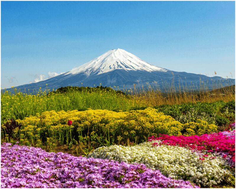 From Tokyo: Mt.Fuji, Lake Kawaguchi, Oshino Hakkai Day Tour - FAQ