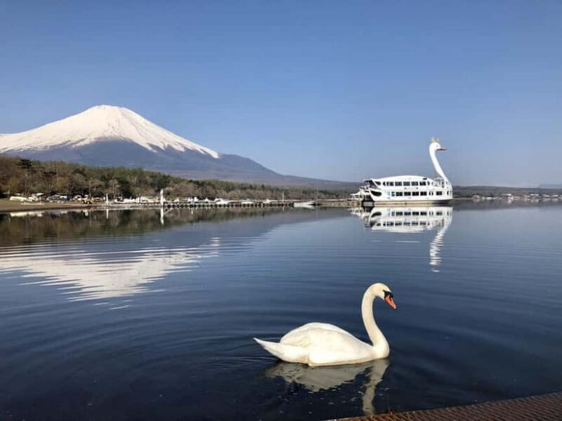 From Tokyo: Mt. Fuji Lawson & Iconic Lakes 1-Day Bus Tour - From Tokyo: Mt. Fuji Lawson & Iconic Lakes 1-Day Bus Tour