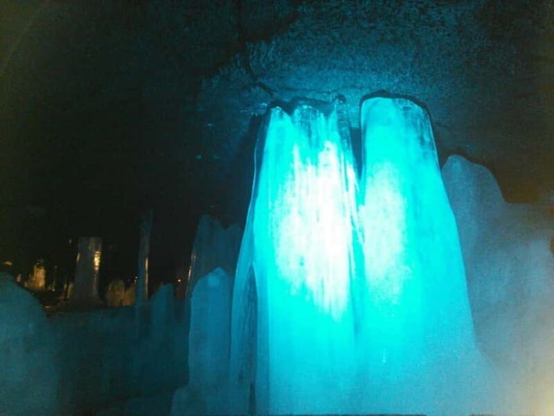 From Tokyo: Mt. Fuji Lawson & Iconic Lakes 1-Day Bus Tour - Price & Value