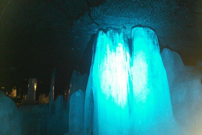 From Tokyo: Mt Fuji Lawson & Mt. Fuji Iconic Lakes 1-Day Bus Tour - Who Should Consider This Tour?