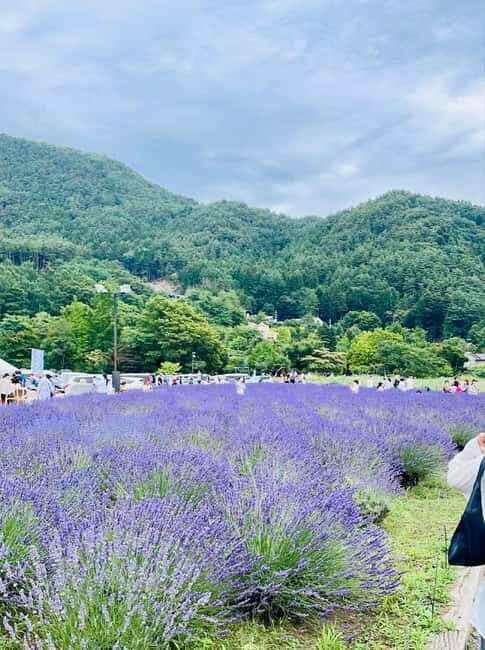 From Tokyo: Mt. Fuji Spanish & English Tour - Key Points