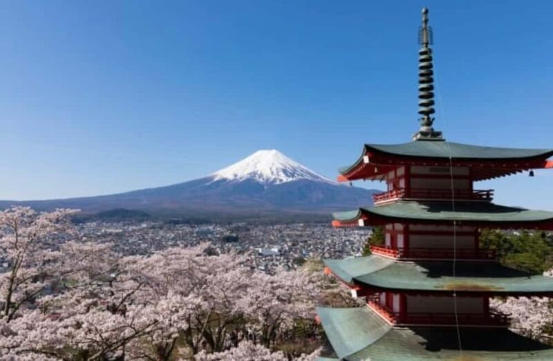 From Tokyo: Mt. Fuji Spanish & English Tour - Detailed Breakdown of the Itinerary