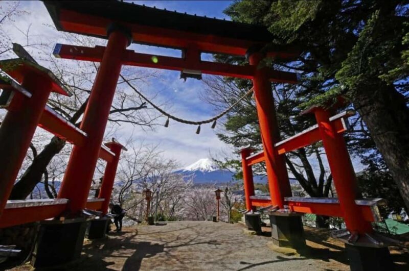 From Tokyo: Mt. Fuji Spanish & English Tour - The Practical Side: What We Think About the Value and Experience
