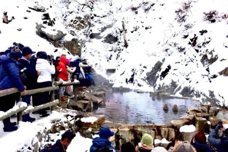From Tokyo: Nagano Full Day Private Snow Monkey Park Tour - A Balanced Look at the Experience