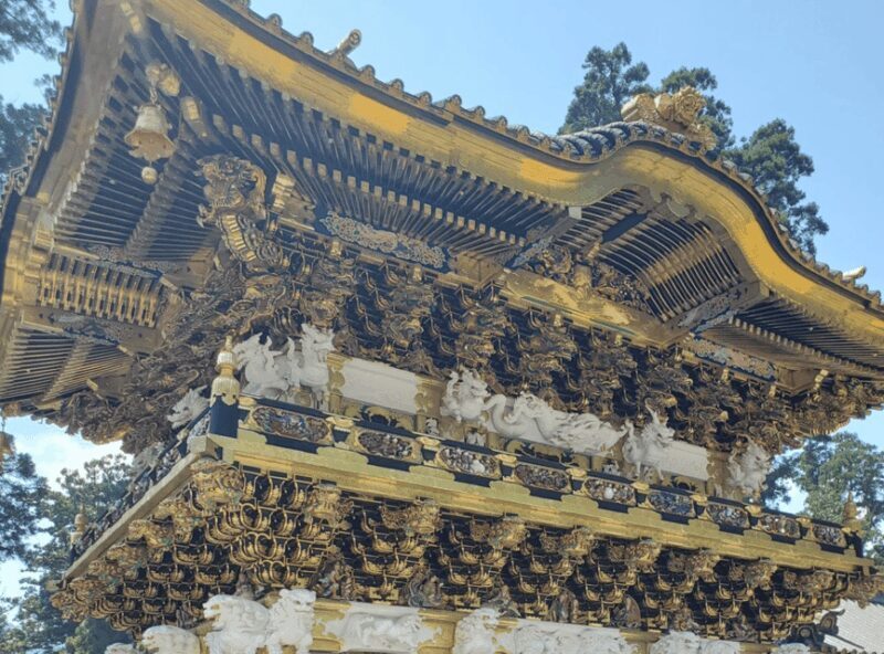 From Tokyo: Nikko Day Trip with Toshogu Shrine and Waterfall - Who Should Consider This Tour?