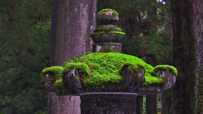 From Tokyo: Nikko Full Day Private Sightseeing Tour - Key Points
