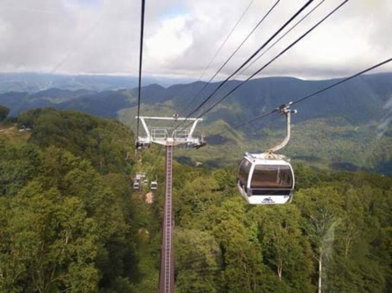 From Tokyo: Nikko luxury Tour with English-speaking Guide - Exploring the Itinerary in Detail