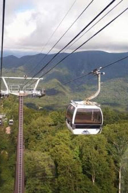 From Tokyo: Nikko luxury Tour with English-speaking Guide - Who Would Love This Tour?