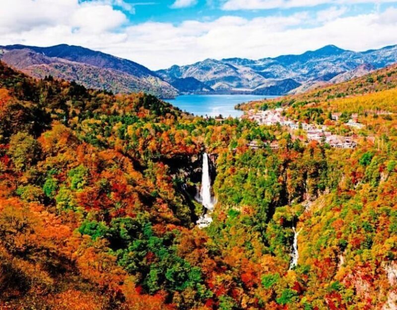 From Tokyo: Nikko private 1-day sightseeing Tour with Guide - Exploring the Heart of Nikko: What You Can Expect