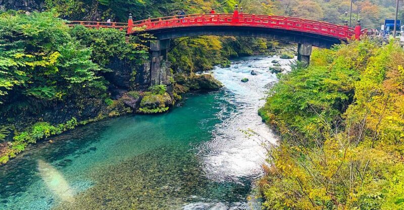 From Tokyo: Nikko private 1-day sightseeing Tour with Guide - FAQs