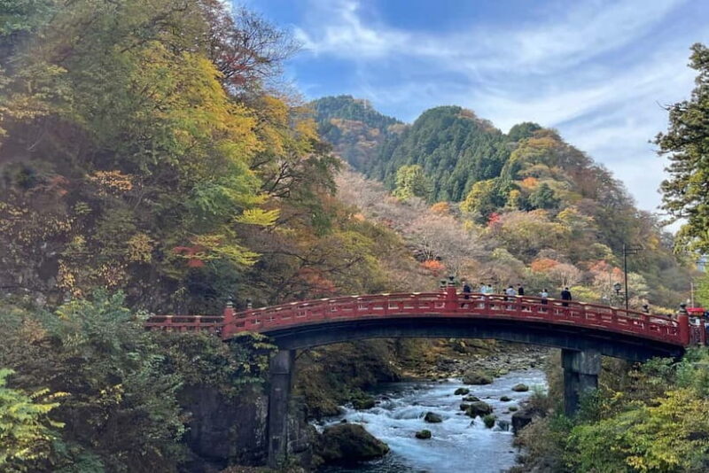 From Tokyo: Nikko private car tour with optional guide - Key Points