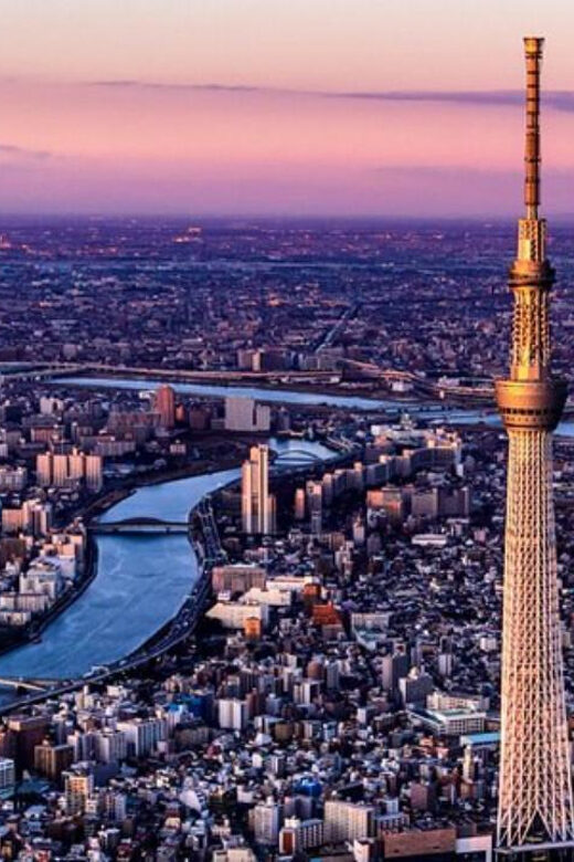 From Tokyo: Nikko Private Customize Tour With English Driver - Setting the Scene: Why Choose This Tour?