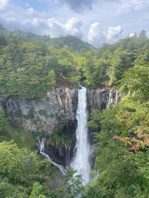 From Tokyo: Nikko private Customize Tour With English Driver - A Deep Dive into the Nikko Private Tour Experience