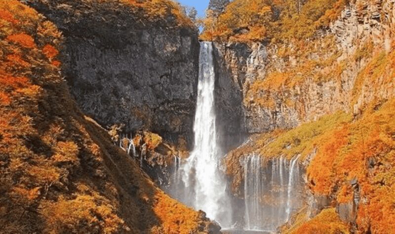 From Tokyo: Nikko private Customize Tour With English Driver - FAQ