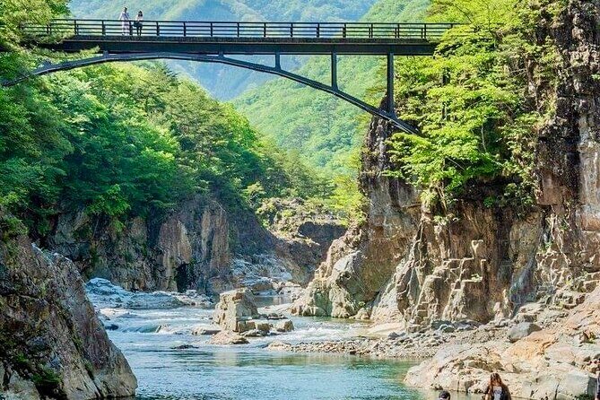 From Tokyo: Nikko Sightseeing Customized Private Tour - Experience the Charm of Nikko: Private Day Tour from Tokyo