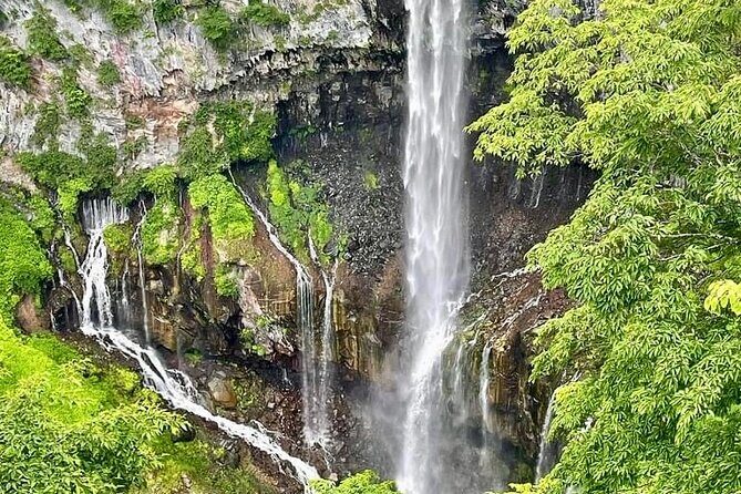 From Tokyo: Nikko Sightseeing Customized Private Tour - Who Should Consider This Tour?