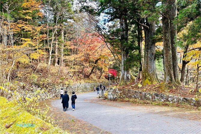 From Tokyo: Nikko Sightseeing Customized Private Tour - Practical Tips and Considerations