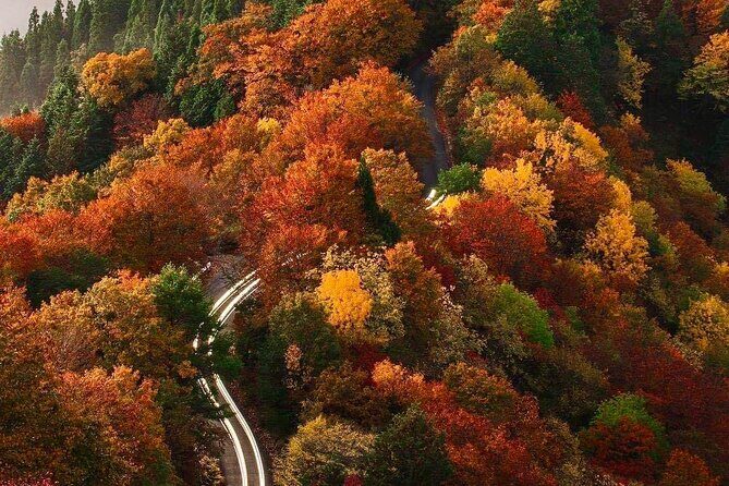 From Tokyo: Nikko Sightseeing Customized Private Tour - The Sum Up