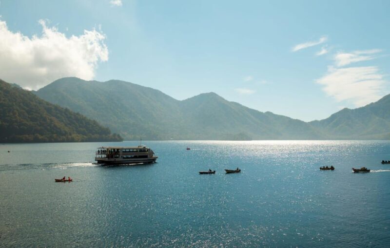 From Tokyo: Nikko World Heritage Site Private Full-Day Trip - Who Will Enjoy This Tour?