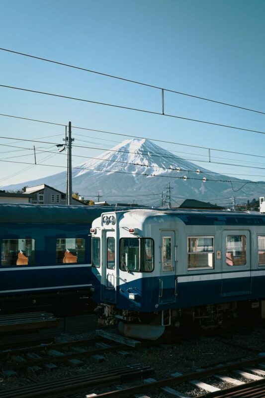 From Tokyo: One Day Private Tour To Mt Fuji and Hakone - A private ride makes the Fuji region easier