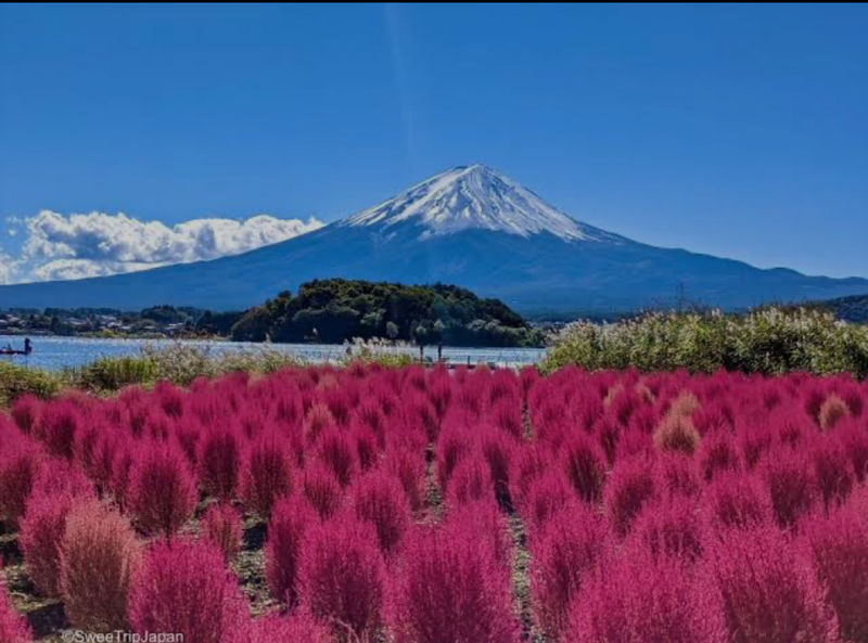 From Tokyo: One Day Private Tour To Mt Fuji and Hakone - Kitaguchi Hongu Fuji Sengen Shrine: a quieter cultural stop