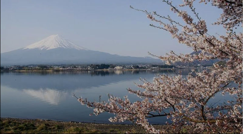 From Tokyo: One Day Private Tour To Mt Fuji and Hakone - Kachi-Kachi Ropeway: a high viewpoint above Lake Kawaguchi