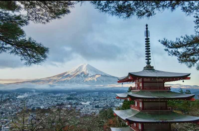 From Tokyo: One Day Private Tour To Mt Fuji and Hakone - Lawson, Oishi Park, and Lake Kawaguchi