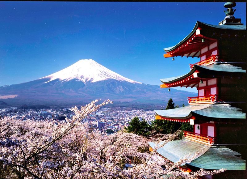 From Tokyo: One Day Private Tour To Mt Fuji and Hakone - What the price includes, and what can add up
