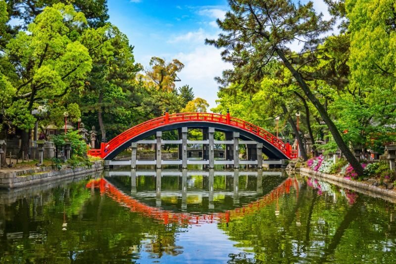 From Tokyo/Osaka/Kyoto Car Rental with Driver For 10 Hours - Key points before you book