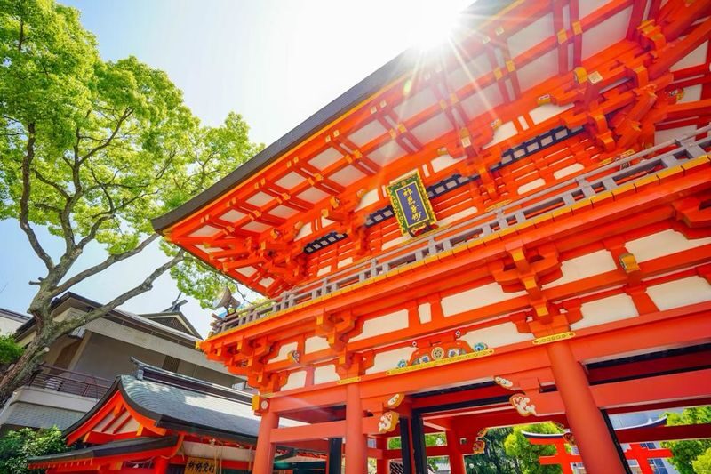 From Tokyo/Osaka/Kyoto Car Rental with Driver For 10 Hours - Booking details worth checking