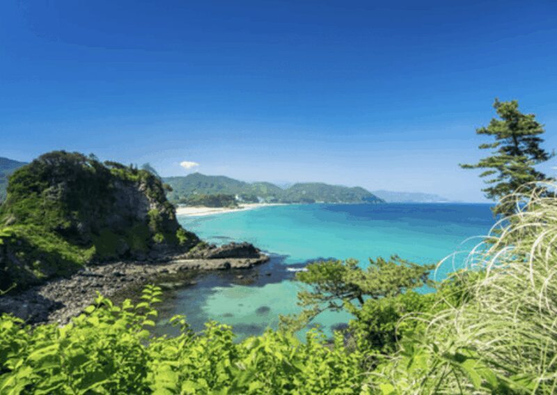 From Tokyo: Private Day Trip to Izu & Shimoda, Shizuoka - Escape the Tokyo Hustle for the Natural and Historic Beauty of Izu & Shimoda