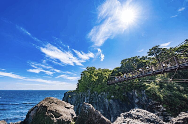From Tokyo: Private Day Trip to Izu & Shimoda, Shizuoka - Key Points