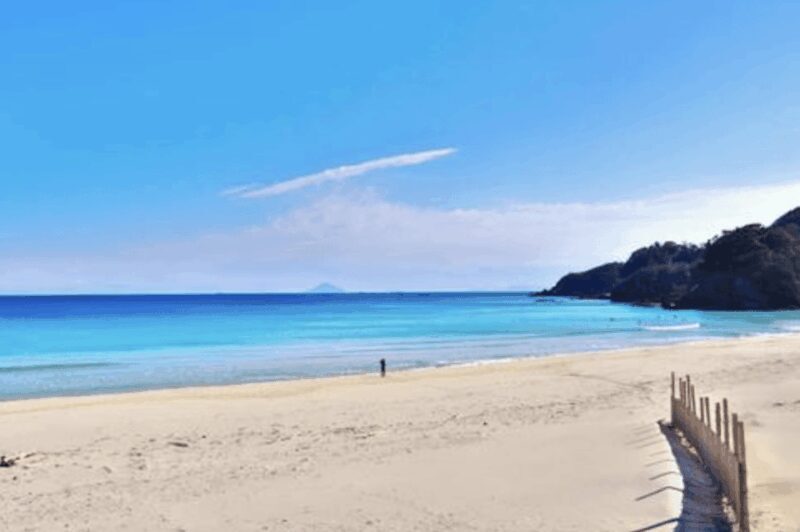 From Tokyo: Private Day Trip to Izu & Shimoda, Shizuoka - Detailed Itinerary and Why It Matters