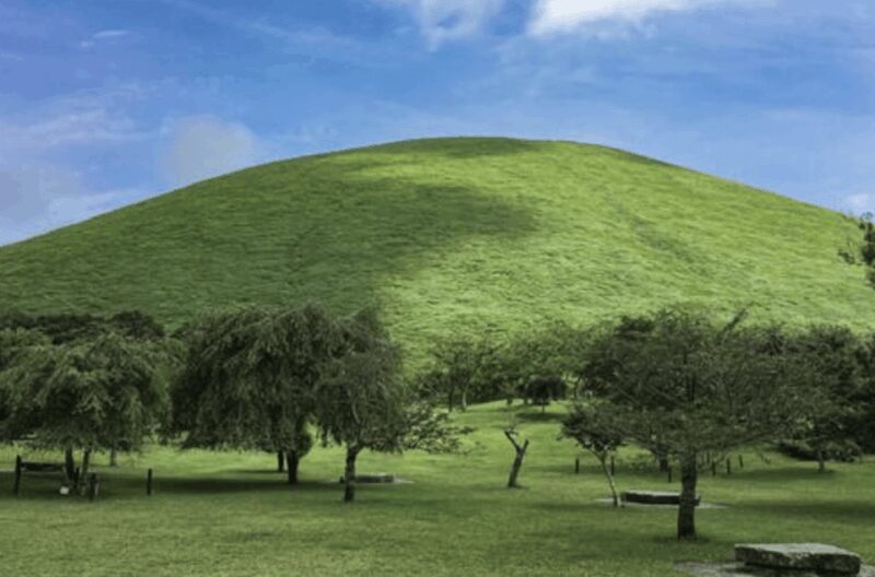 From Tokyo: Private Day Trip to Izu & Shimoda, Shizuoka - Final Thoughts