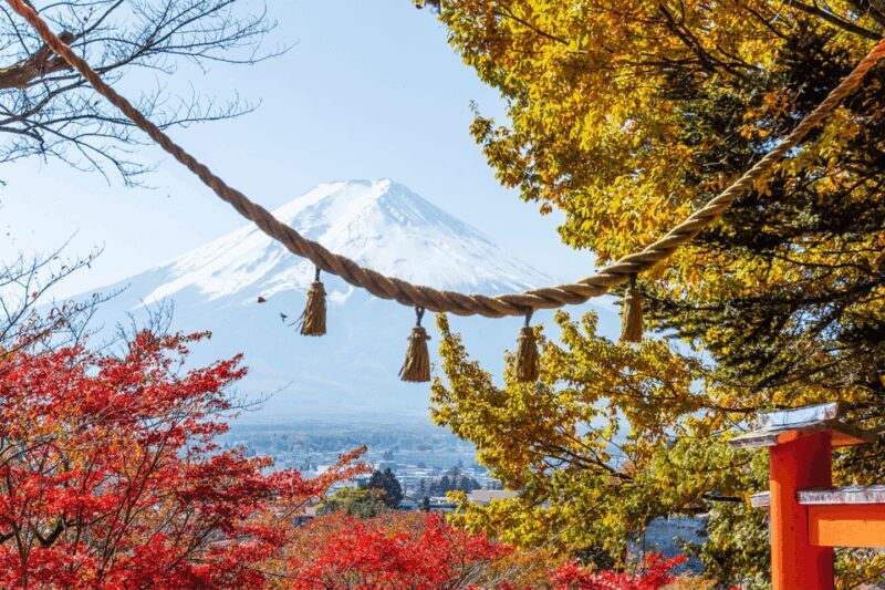 From Tokyo: Private Day Trip to Mount Fuji & Fuji Five lakes - Key Points