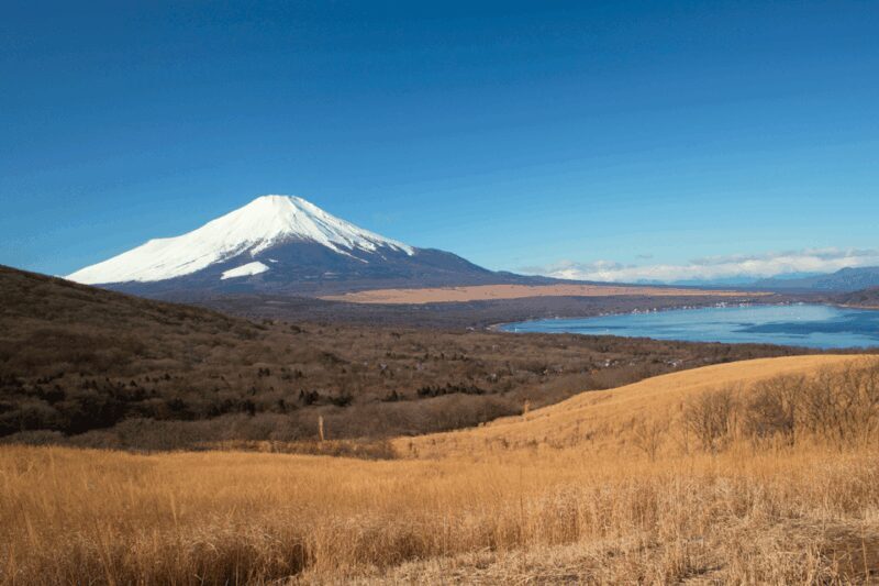 From Tokyo: Private Day Trip to Mount Fuji & Fuji Five lakes - Final Thoughts