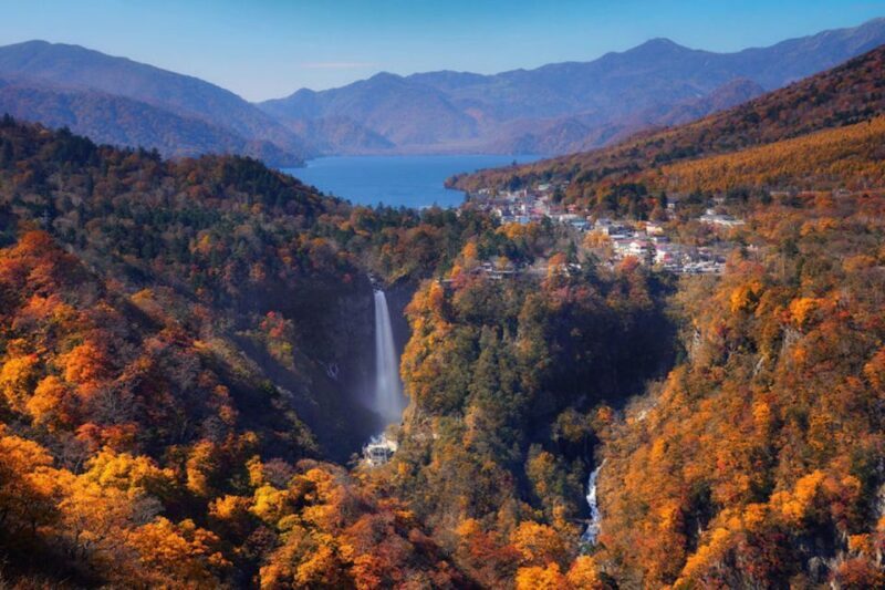 From Tokyo: Private Day Trip to Nikko and Lake Chuzenji - Why This Tour Offers Great Value