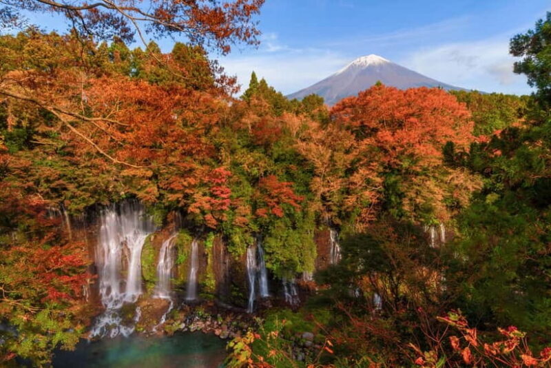 From Tokyo: Private JDM/Sports Car Tour - Mt Fuji and Hakone - FAQs
