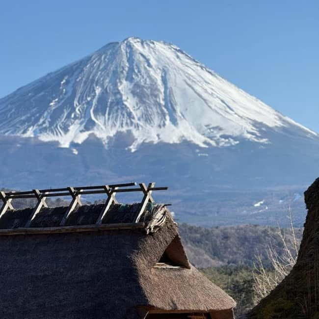 From Tokyo Private Mount Fuji & Hakone Day Trip With Pick Up - A Full Breakdown of the Experience