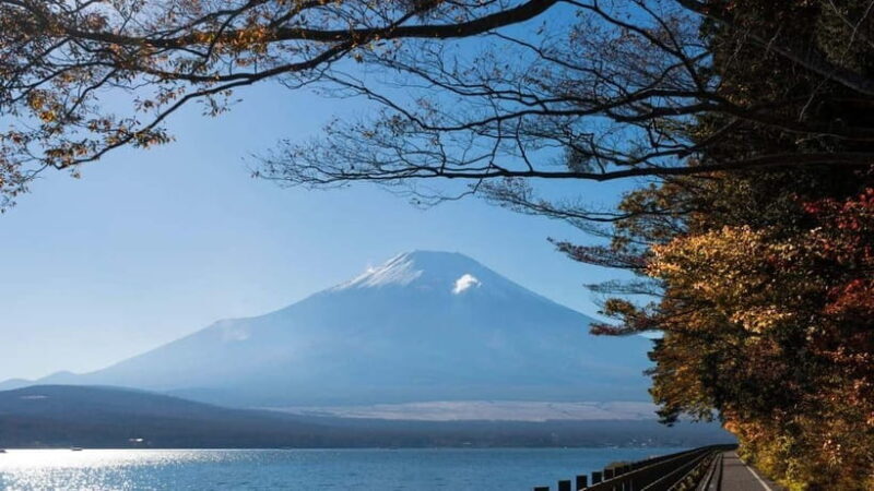 From Tokyo: Private Mt. Fuji and Hakone Tour by Car - Key Points