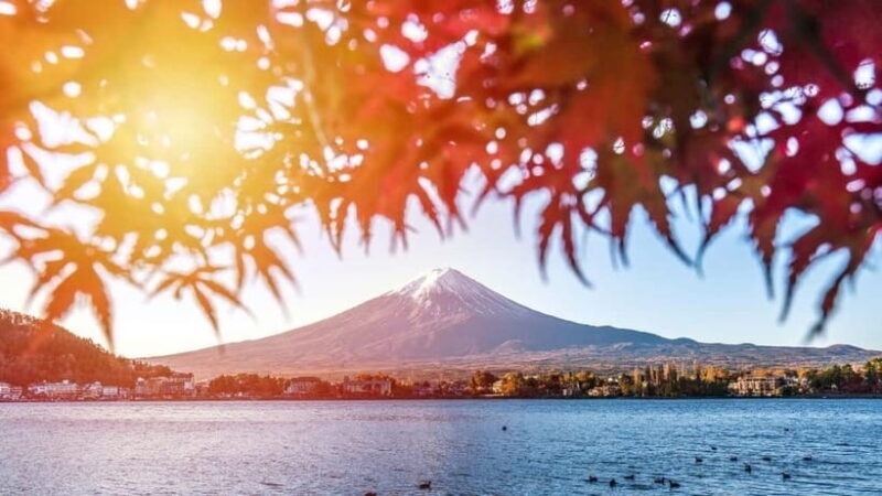 From Tokyo: Private Mt. Fuji and Hakone Tour by Car - A Deep Dive into the Experience