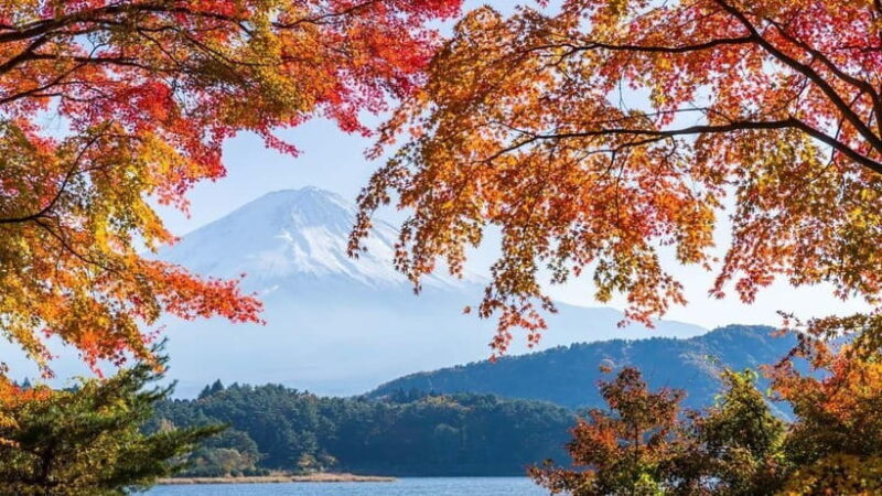 From Tokyo: Private Mt. Fuji and Hakone Tour by Car - Practical Details and Tips