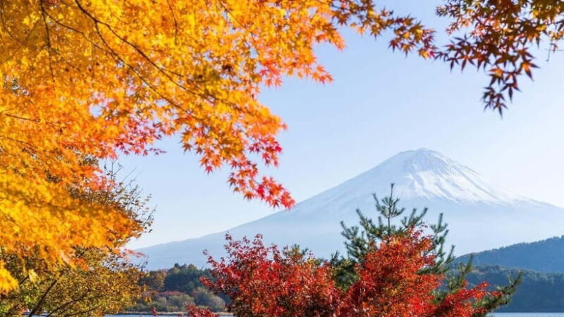 From Tokyo: Private Mt. Fuji and Hakone Tour by Car - Who Will Love This Tour?