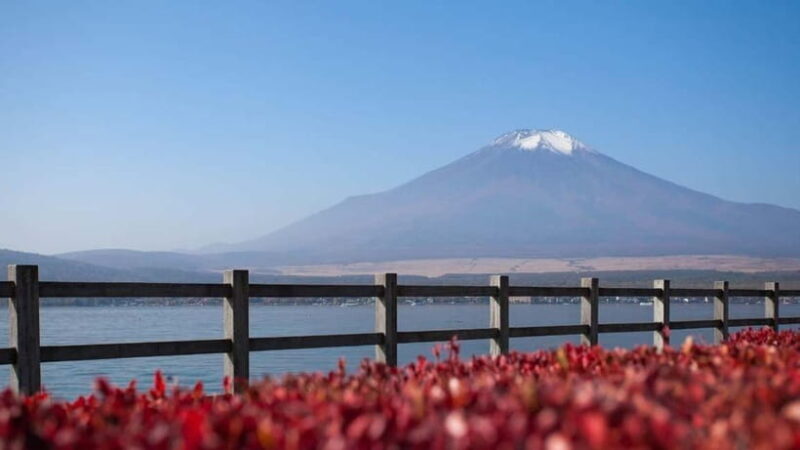 From Tokyo: Private Mt. Fuji and Hakone Tour by Car - Frequently Asked Questions