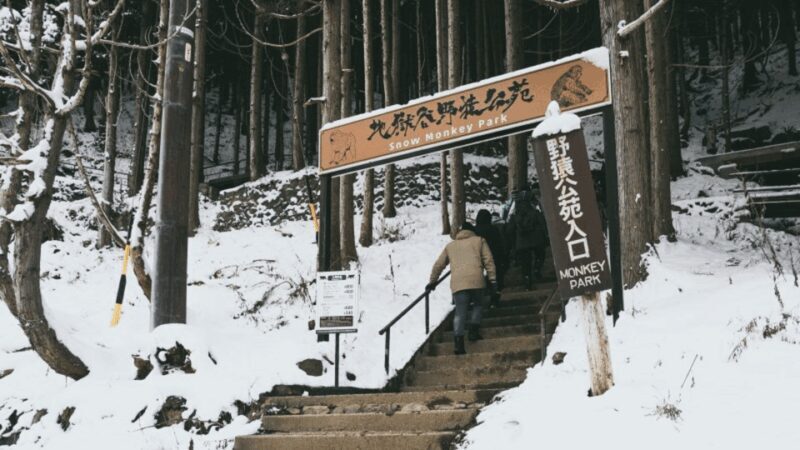 From Tokyo: Private Tour Snow Monkey Park & Zenko-ji Temple - The Sum Up