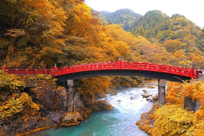 From Tokyo Private Trip to Nikko - Who Should Consider This Tour?