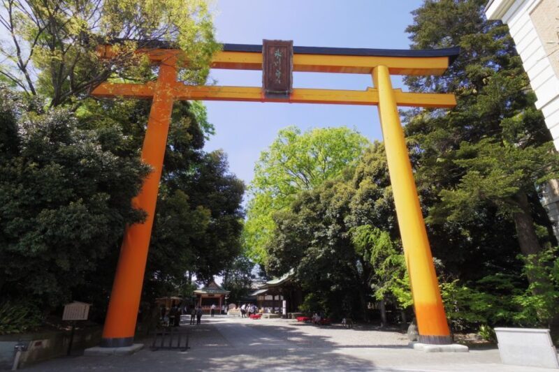 From Tokyo: Round-Trip Fare to Kawagoe City - Exploring Kawagoe: What to Expect